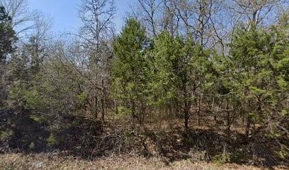 Perfect for building your dream home or placing a mobile home, this lot offers flexibility and potential. The community features amenities such as a boat ramp, parks, and picnic areas, providing plenty of recreational opportunities. Located just a short drive from downtown Granbury, you'll have easy access to local shops, dining, and entertainment. Utilities not yet installed, allowing you to customize your setup.