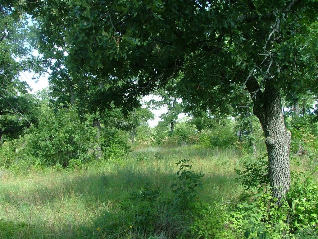 North Star Pointe - Land
