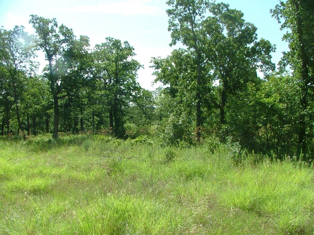North Star Pointe - Land