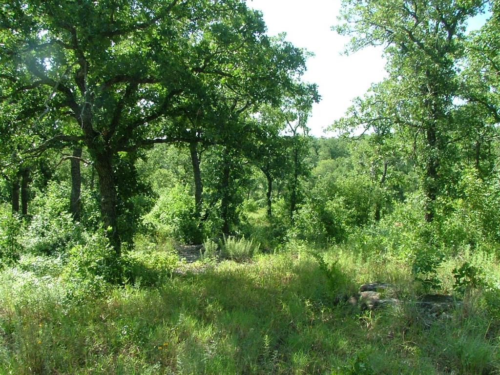 North Star Pointe - Land