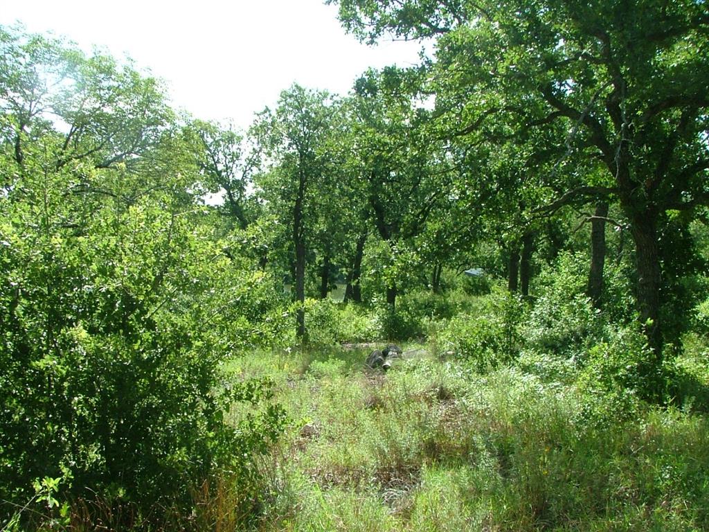 North Star Pointe - Land