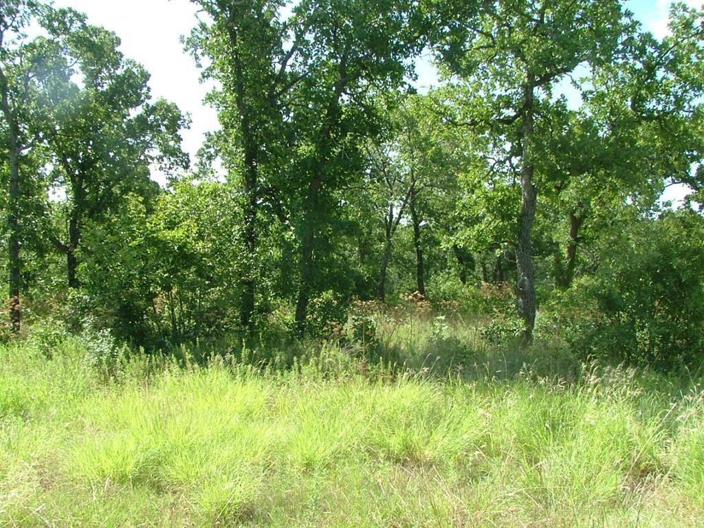 North Star Pointe - Land