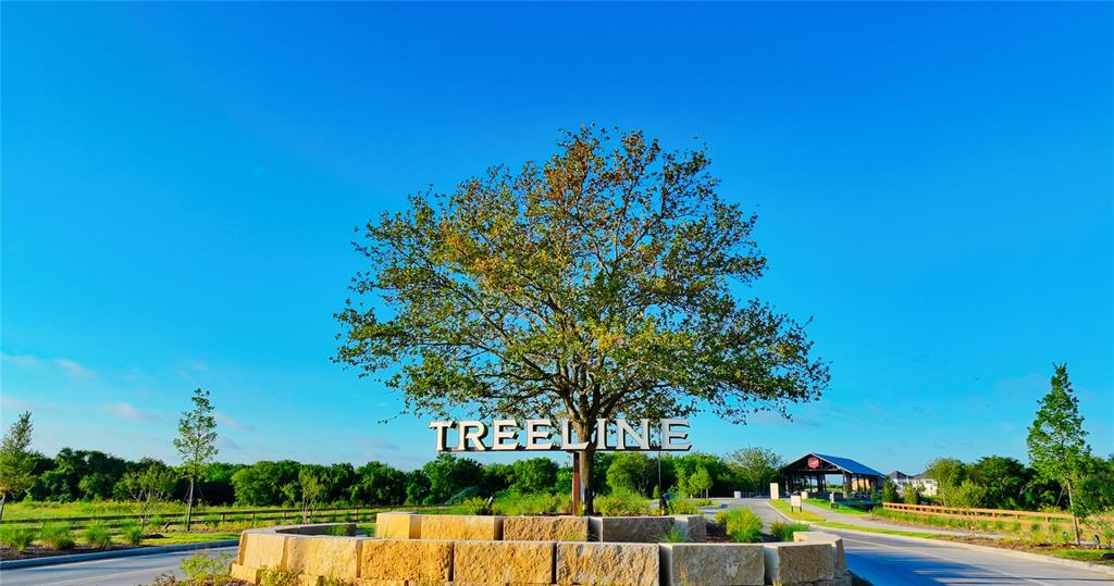 Treeline - Residential