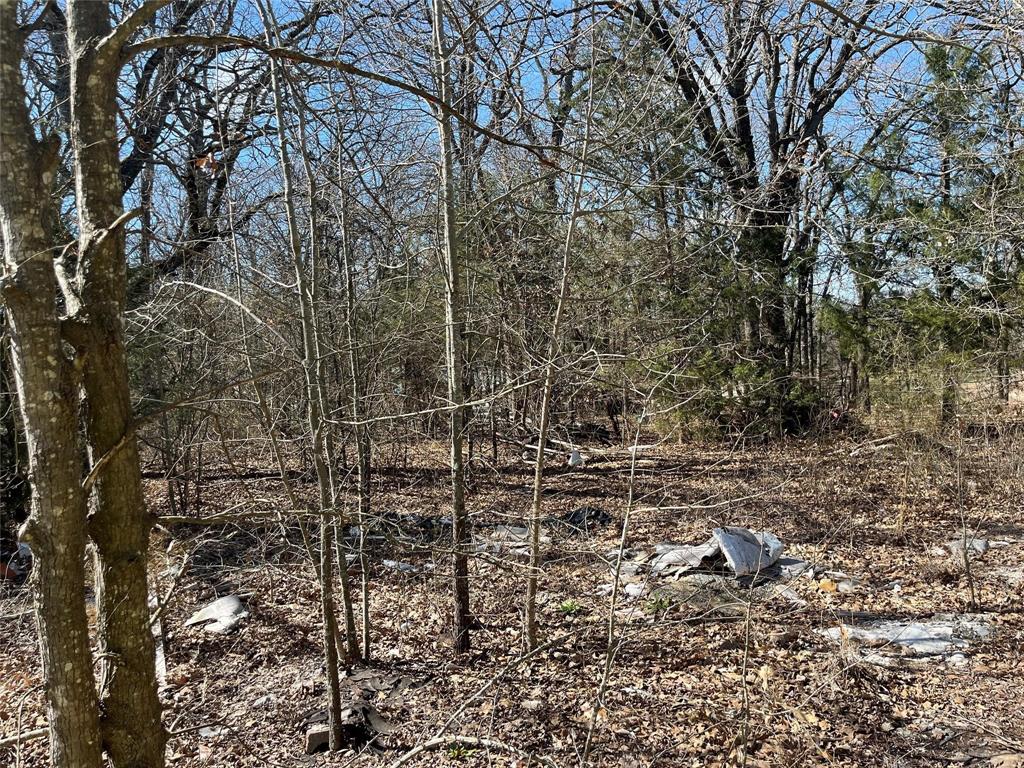 Affordable lot near the lake, out in the country with NO known restrictions. This property offers seclusion. Would make a great place for an RV or tiny home. Heavily wooded, raw land with no utilities. Buyer to verify access to water, electric, and a permit for septic with Sabine River Authority. Sign was placed as accurately as possible. New survey will be needed. CAD has it off of CR 3605 but it's off of PR 3792