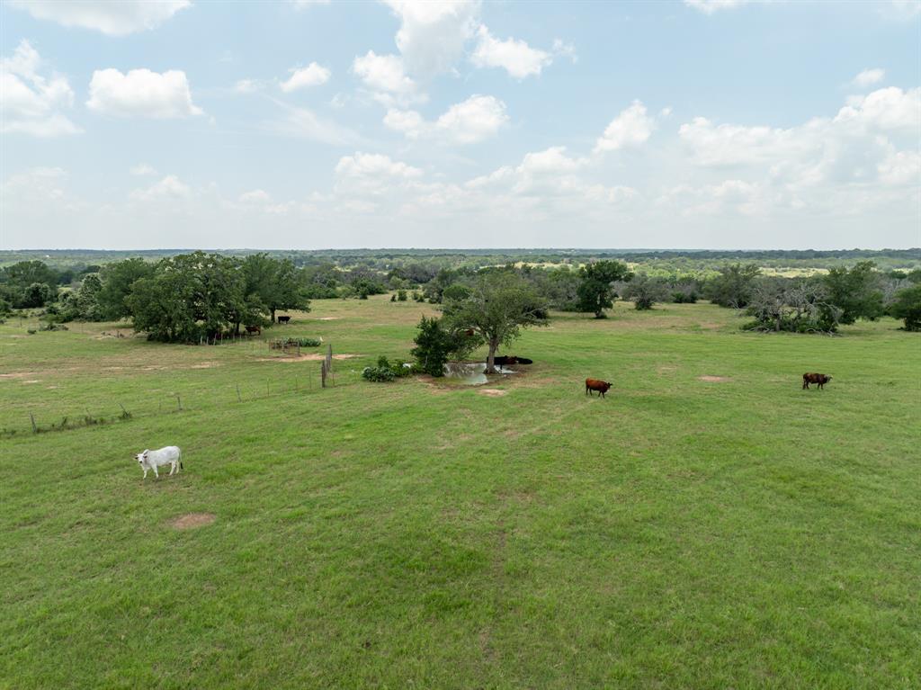 E Curd - Residential