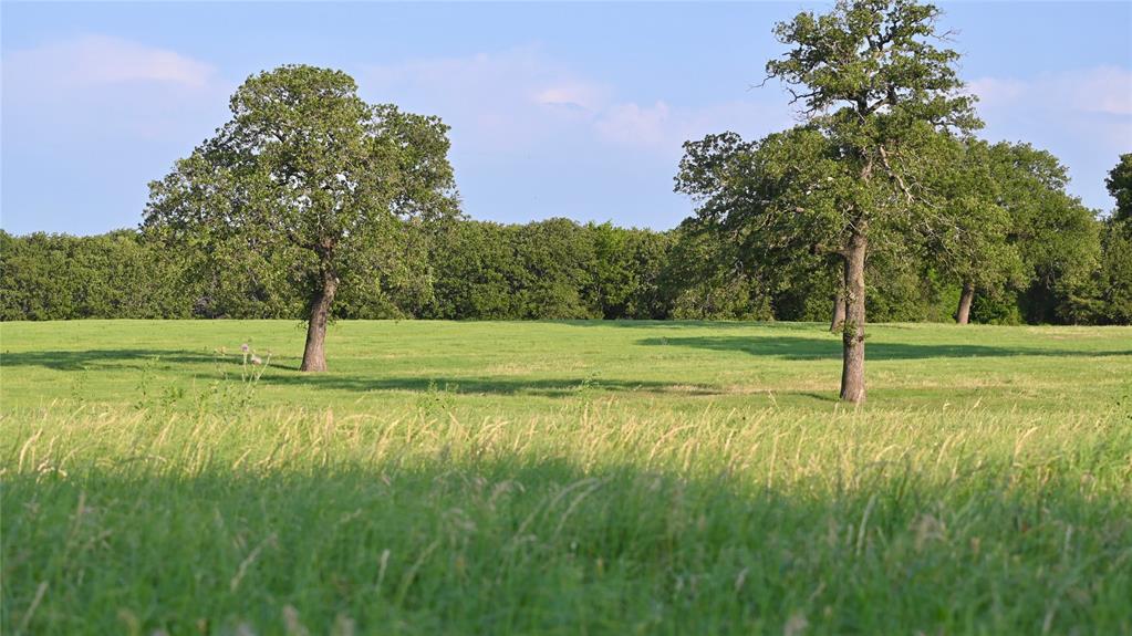 Kaufman CSL - Land