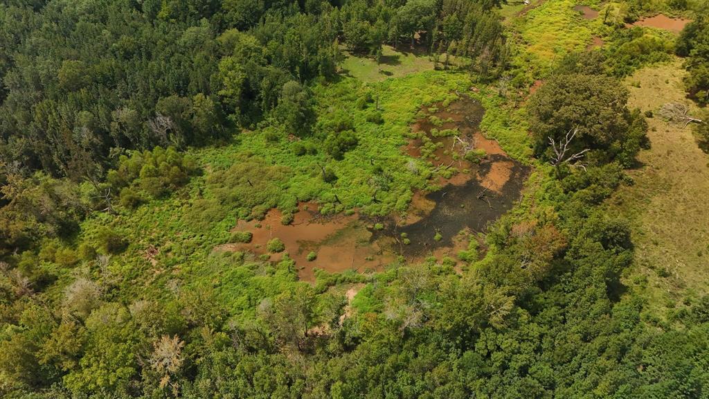 Beavers Den - Land