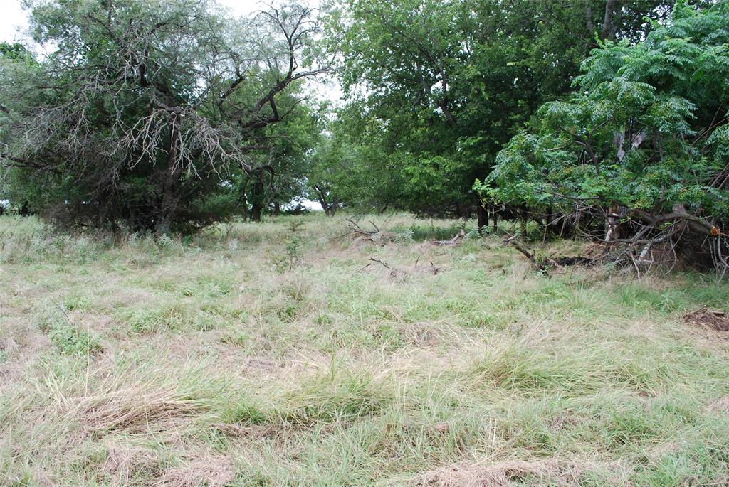 White Bluff #42 - Land