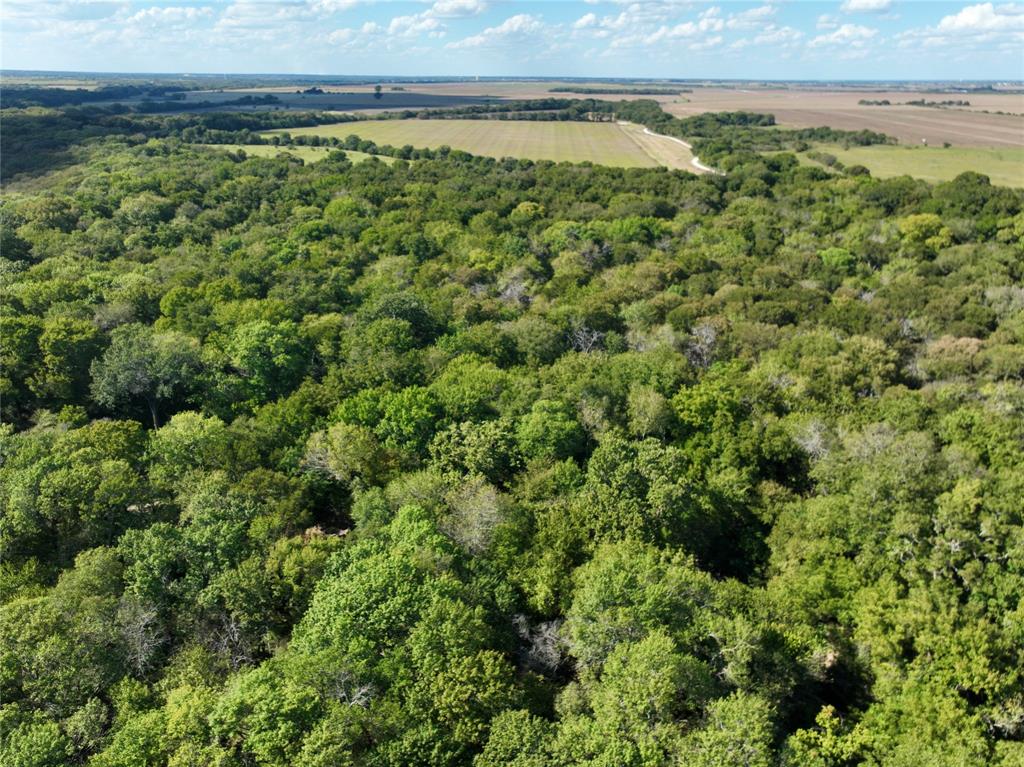 A Stokes - Land
