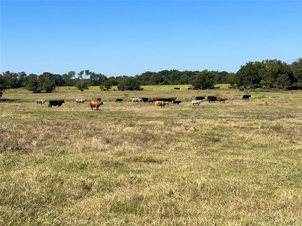 A Stokes - Land