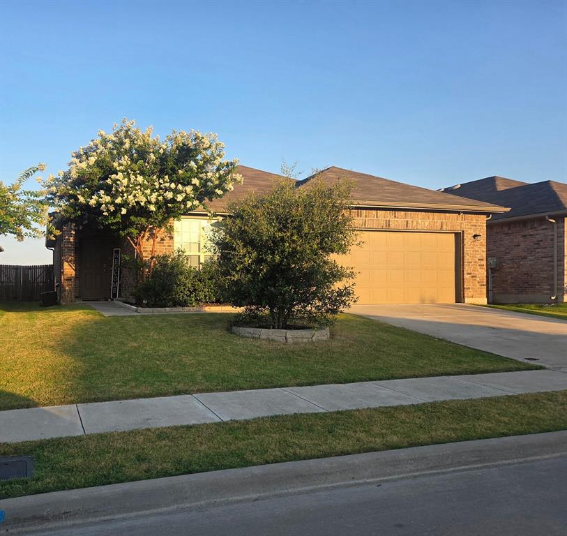 Welcome to 1036 Stanridge Ln, a charming house located in the inviting community of Van Alstyne, TX. property accords a wonderful opportunity to enjoy a comfortable lifestyle in a serene setting. NO MUD. NO PID. LOW HOA DUES. Open floor plan. New floors and fresh paint in Living, Dining, Kitchen, Laundry, and Halls. Large lot with no rear neighbor. Priced to sell fast.