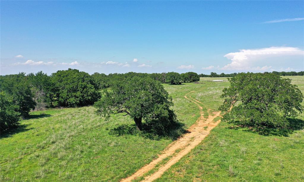 Lush 136 acres located in Northeast Jack County. This 136-acre tract has incredible native grasses sprawling the majority of the property with mature hardwoods scattered throughout with the western part having heavy hardwood cover. The property has a water well at its center that is solar powered, makes 20 gallons per minute, and allows use to the north and south pastures. A newly built cross-fence divides the north and south pastures. Excellent hunting with abundant whitetail, turkey, hogs and dove. Ag Exempt. There is no oil & gas production on the property. Just one hour and 10 minutes from Fort Worth, TX.
Deed Restrictions.
Seller is dividing the 136-acre tract from a larger tract that they will retain. The seller, at the seller’s expense, will construct a division fence on the western boundary after closing.
Shown by appointment only.