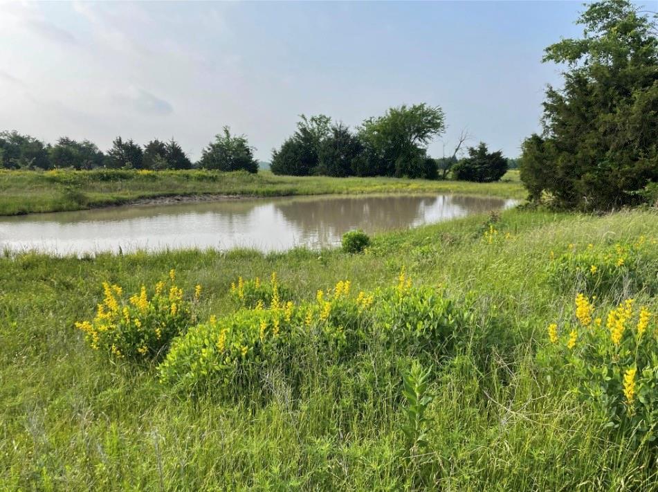 SWARTHOUT - Farm