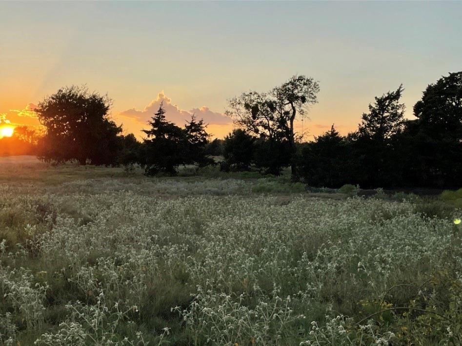 SWARTHOUT - Farm