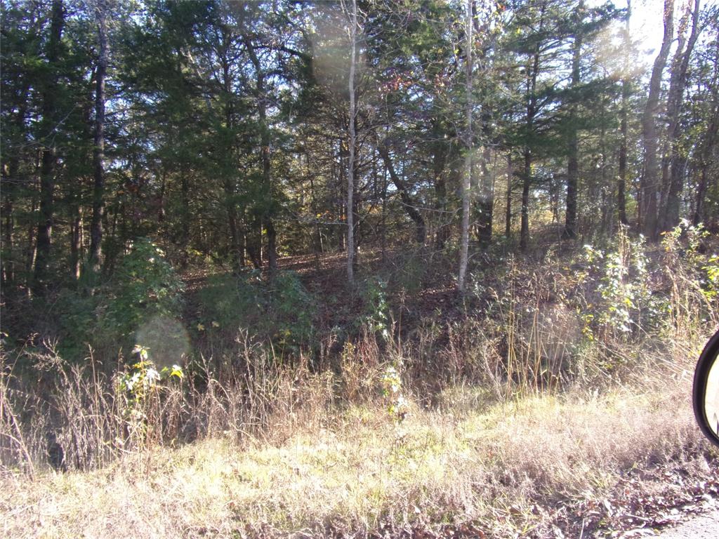 Three heavily wooded lots located in the gated community of Hickory Hills located on the 365 acre spring fed Callender Lake.  There is also a smaller 15 acre lake called Hickory Hills Lake.  These lots are near the smaller lake but you have full access to both lakes.  These three lots total about .545 acres (over half and acre) and would be a great place to build your cabin or full time home.  Homes must be 600 sq. feet or larger.  Mobile homes and manufactured homes as well as site built homes are allowed in this community.  RV's are also allowed and must be less than 10 years old when brought into the community.  Mobile homes also can not be over 10 years old when brought in to the community.   Water and electricity are located at the street and a septic system must be installed when you build or bring in a home.  This gated community has a community pool, rest room and shower facility, pavilion with picnic tables, boat ramp, dumpsters for your trash pickup, fishing pier, lake swim area, great fishing and boating, and so much more for your enjoyment.  Come see these lots today and consider starting to live the East TX lake LIFE!!!