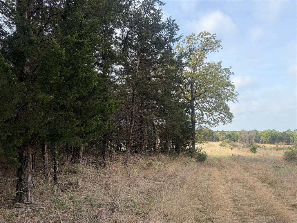 Block 84 of the Bell County School Land Survey - Residential