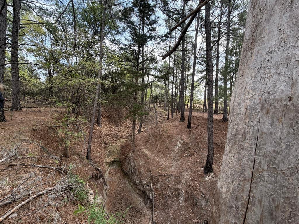Block 84 of the Bell County School Land Survey - Residential