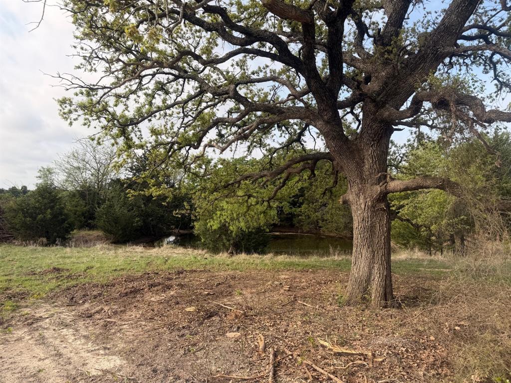 Block 84 of the Bell County School Land Survey - Residential