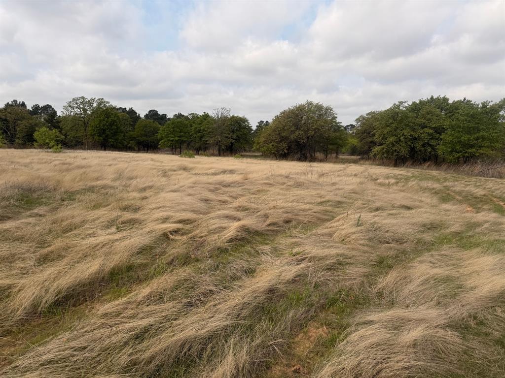 Block 84 of the Bell County School Land Survey - Residential