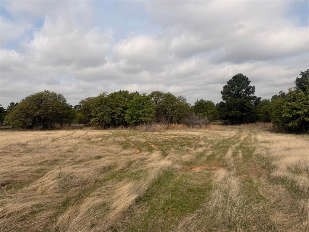 Block 84 of the Bell County School Land Survey - Residential