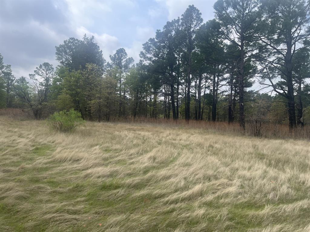 Block 84 of the Bell County School Land Survey - Residential