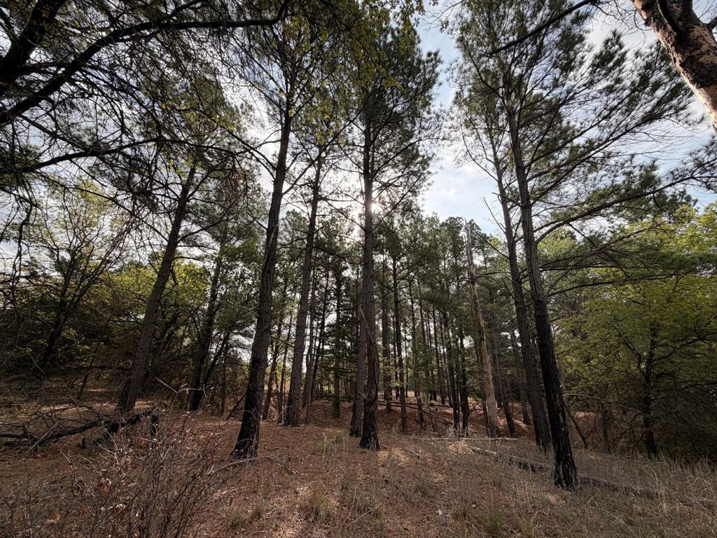 Block 84 of the Bell County School Land Survey - Residential