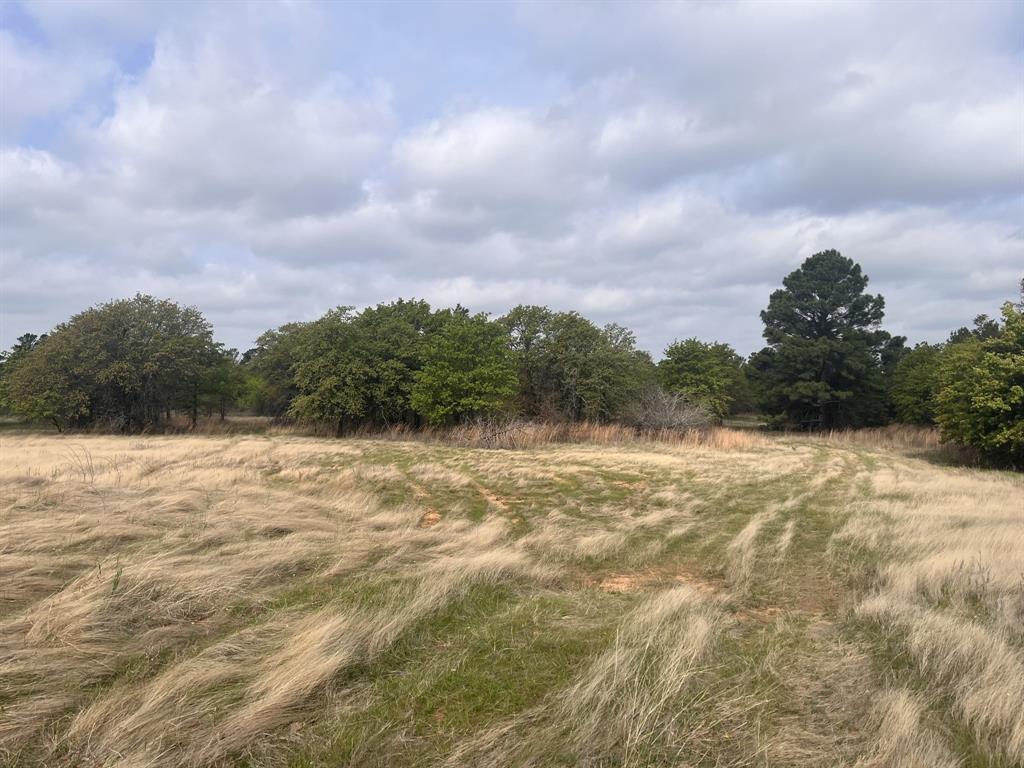 Block 84 of the Bell County School Land Survey - Residential