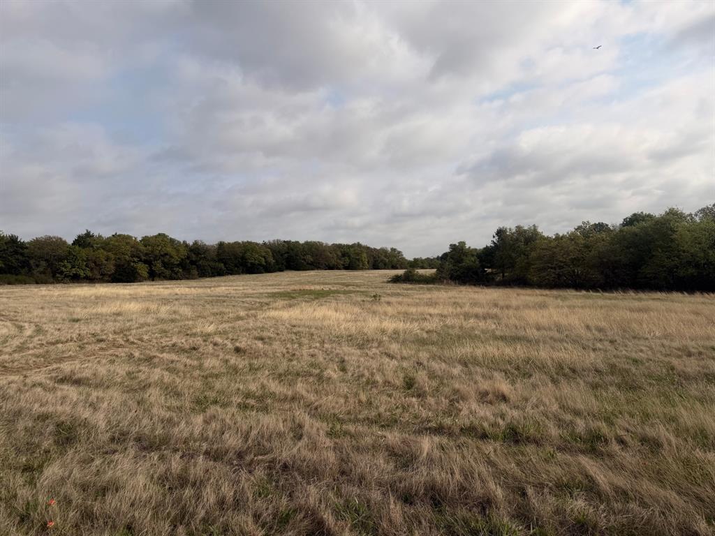 Block 84 of the Bell County School Land Survey - Residential