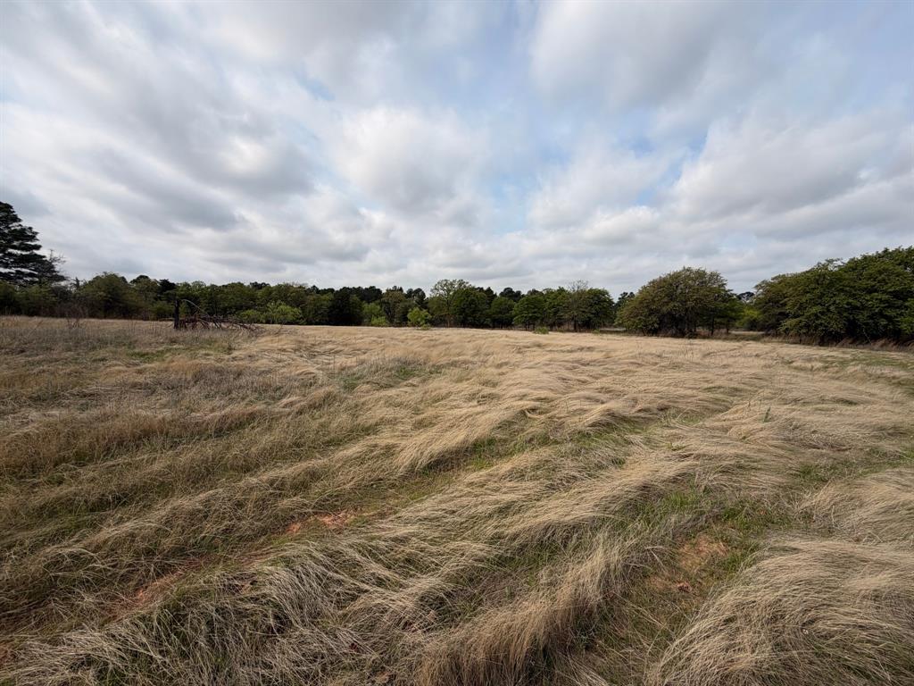 Block 84 of the Bell County School Land Survey - Residential