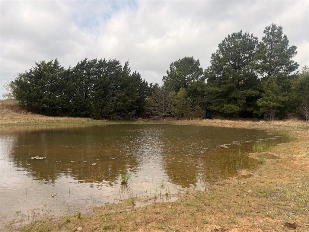 Block 84 of the Bell County School Land Survey - Residential