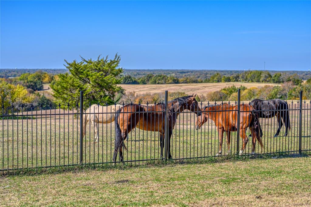 NA - Farm