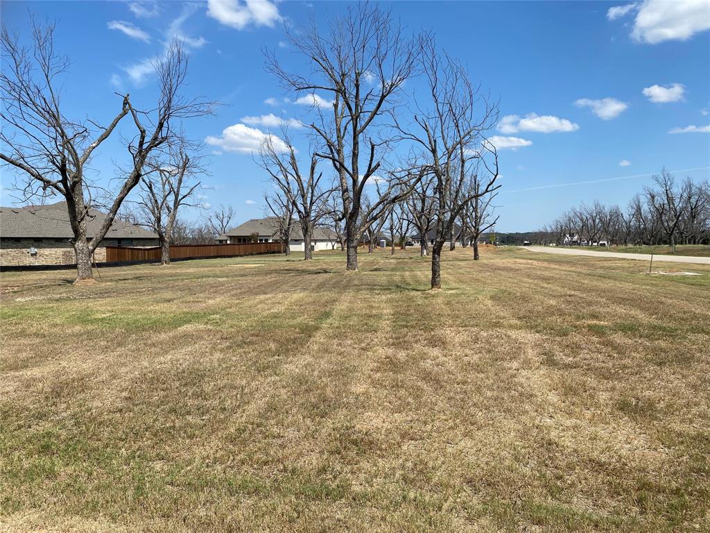 Pecan Plantation - Land