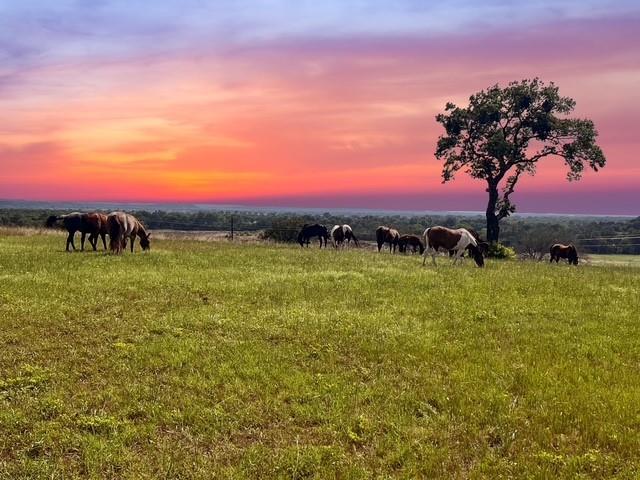 Welcome to Bethel Ridge Ranch, where natural beauty, tranquility, & opportunity converge across 53.7± stunning acres. Ideally located along the scenic Bethel Road corridor just 12 miles south of Weatherford, this remarkable property showcases rolling topography, gentle elevation changes, & expansive views overlooking the Brazos River valley. Whether your vision includes a private family estate, a peaceful country retreat for livestock, or a generational ranch to pass down, Bethel Ridge Ranch offers a rare combination of raw beauty & functional improvements to bring that vision to life. From the paved entry off Bethel Road, the land gradually rises to a scenic ridgeline where multiple elevated homesites capture breathtaking views, ideal for a primary residence or additional structures. An existing 1,000±SF stone home, already taken to the studs, provides a blank canvas ready to be reimagined as a guest house, office, or private retreat. The 30'x70' barn or shop, complete with concrete floors & extended overhangs, offers versatile space suitable for livestock, equipment storage, or even a gathering space. Beyond the barn, five cross-fenced pastures are thoughtfully laid out, each equipped with water spigots and custom shelters. The setup allows for flexible use—whether letting horses roam freely or separating into smaller turnouts as needed. Infrastructure is already in place, with well, septic, electricity, and two RV hookups, making the property immediately functional. Mature oak and pecan trees provide shade and character throughout, while established coastal grass enhances both the aesthetic & usability for grazing or recreation. Conveniently located just 3 miles from Tin Top Boat Dock & the well-known Mary’s Café, the ranch offers a balance of privacy & accessibility. Bethel Ridge Ranch is more than just land...it’s an opportunity to create something lasting, where your vision & legacy can truly take shape. SELLER WILLING TO SUBDIVIDE.