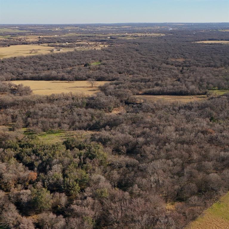 Jj Gholson Surv Abs 324 - Land