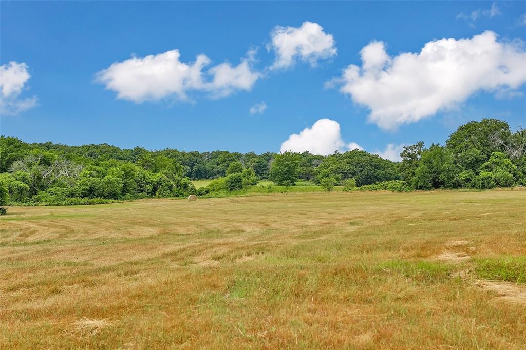 Walker H - Farm