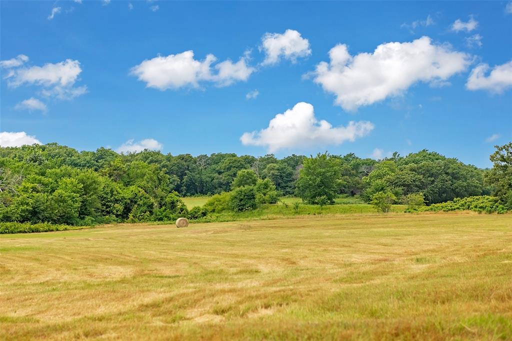 Walker H - Farm