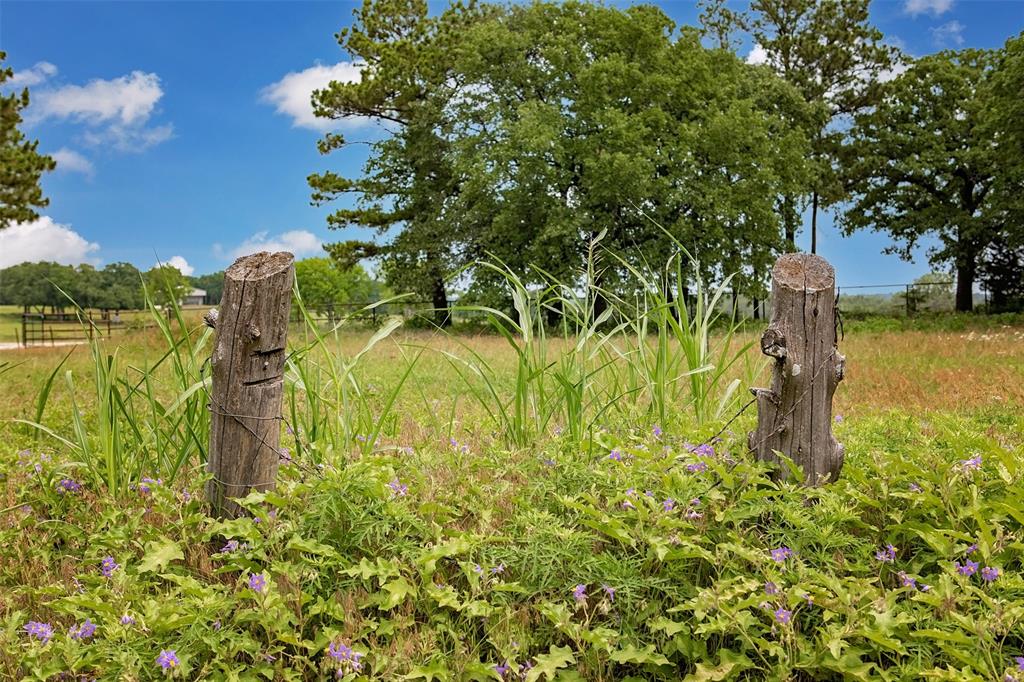 Walker H - Farm