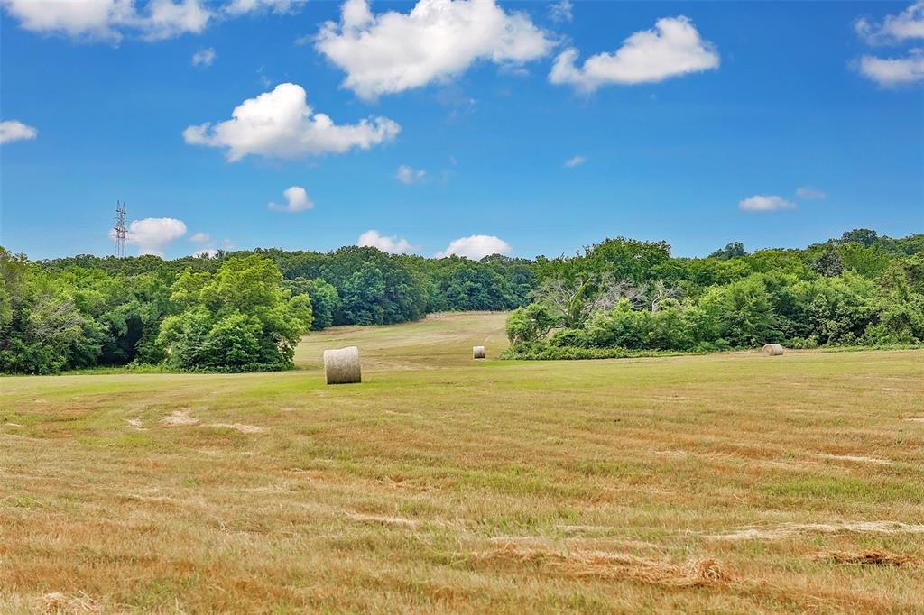 Walker H - Farm