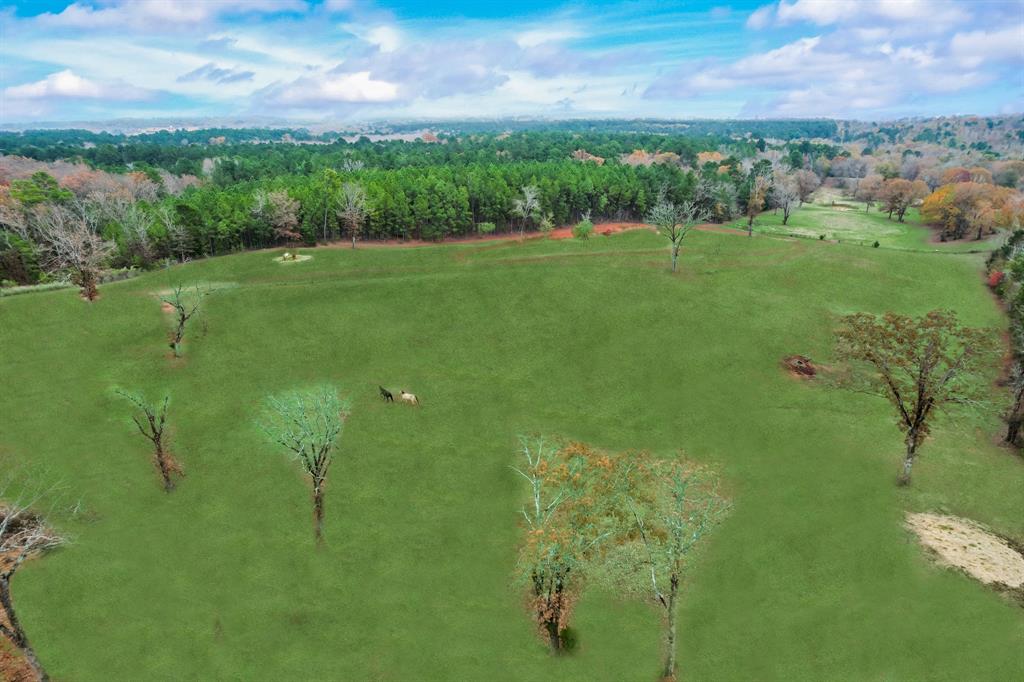 Stephenson Tract - Residential