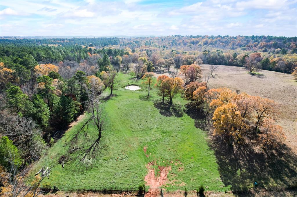 Stephenson Tract - Residential