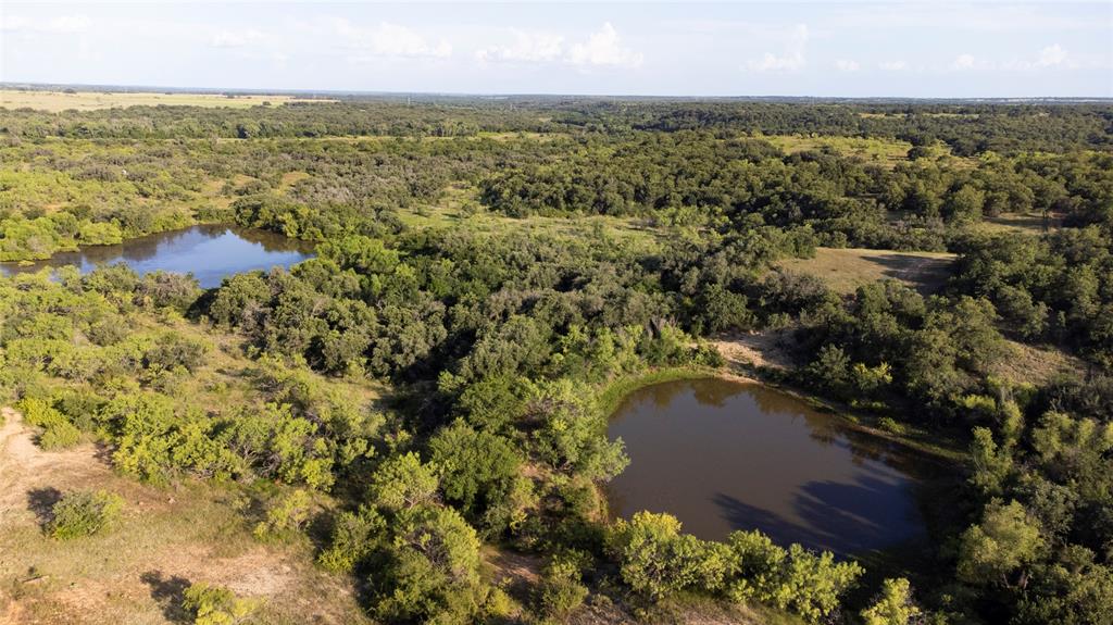 True Texas Heritage on the Brazos – 539+ Acres of Prime Ranch Land
Step into a slice of real Texas history with this 539.414-acre legacy ranch, proudly held by the same family for generations. This isn’t your average patch of overgrazed, flat land—this is authentic ranch country, where rolling hills, rich native grasses, and mighty live oaks paint a picture straight out of the Old West.
With 4,573 feet of premium Brazos River frontage and five stock tanks, water’s never in short supply. The land is teeming with wildlife—whitetail deer, turkey, dove, quail, hogs, and varmints galore—making it a true hunter’s paradise. The thick brush, mesquite, and hardwood cover create an ideal habitat and a rugged, wild beauty that’s getting harder to find.
Access is easy with a brand-new gated entrance off Fish Creek Road (FM 3109). There’s power on-site, and a possible water tap, ready for whatever your vision may be. Whether you’re dreaming of running cattle, building a hunting lodge, or creating a private getaway under big Texas skies, this AG-exempt property checks all the boxes.
And here’s the kicker: NO wind turbines, NO clutter—just wide-open Texas land and freedom.
New Survey in hand. Mineral rights not owned by seller.
This is more than land—it’s a legacy. Don’t miss your chance to own a piece of the Brazos frontier. See what real Texas ranch land looks like