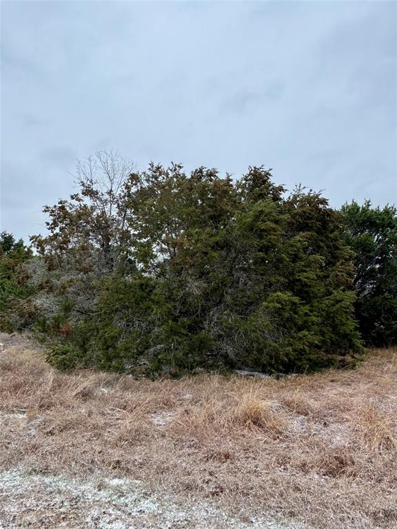White Bluff #11 - Land