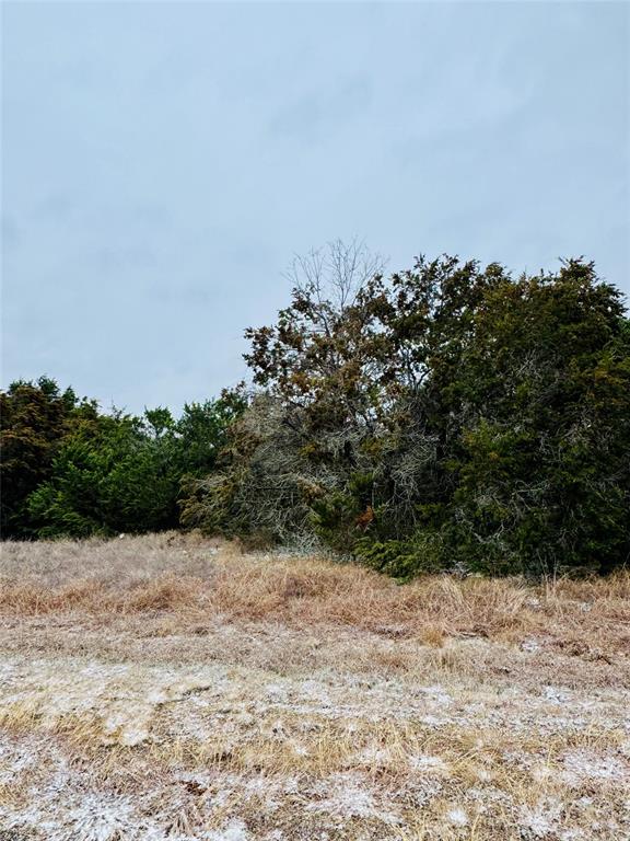 White Bluff #11 - Land