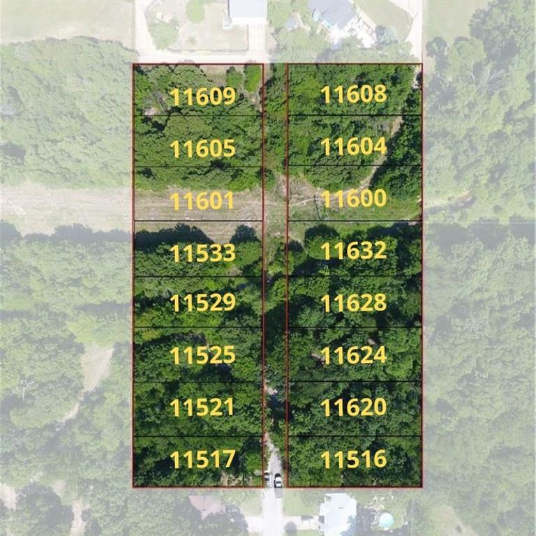 Oak Tree - Land
