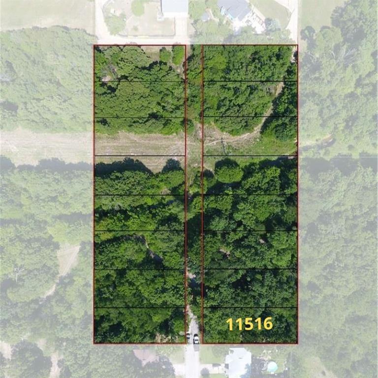 Oak Tree - Land