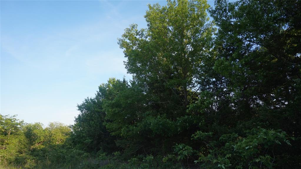 The Preserve at Buchanan Place Phase 1 - Land