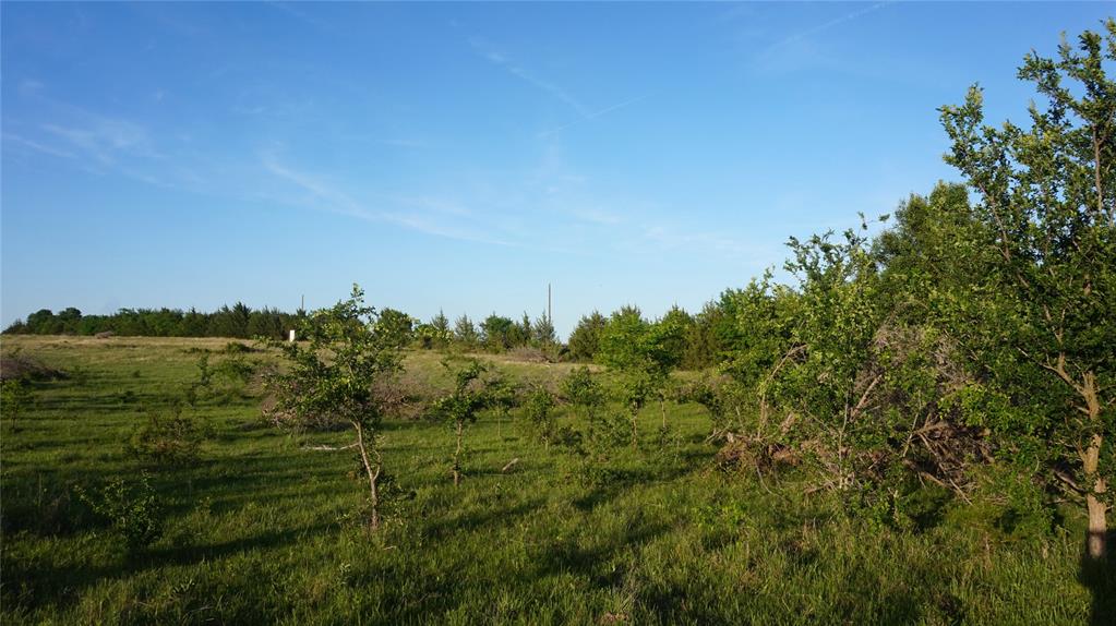 The Preserve at Buchanan Place Phase 1 - Land