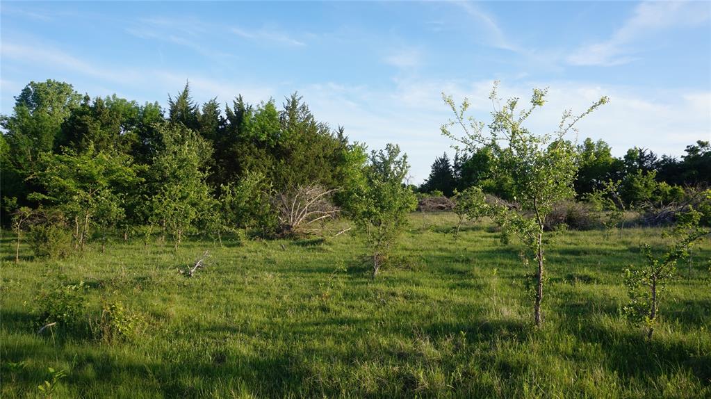 The Preserve at Buchanan Place Phase 1 - Land