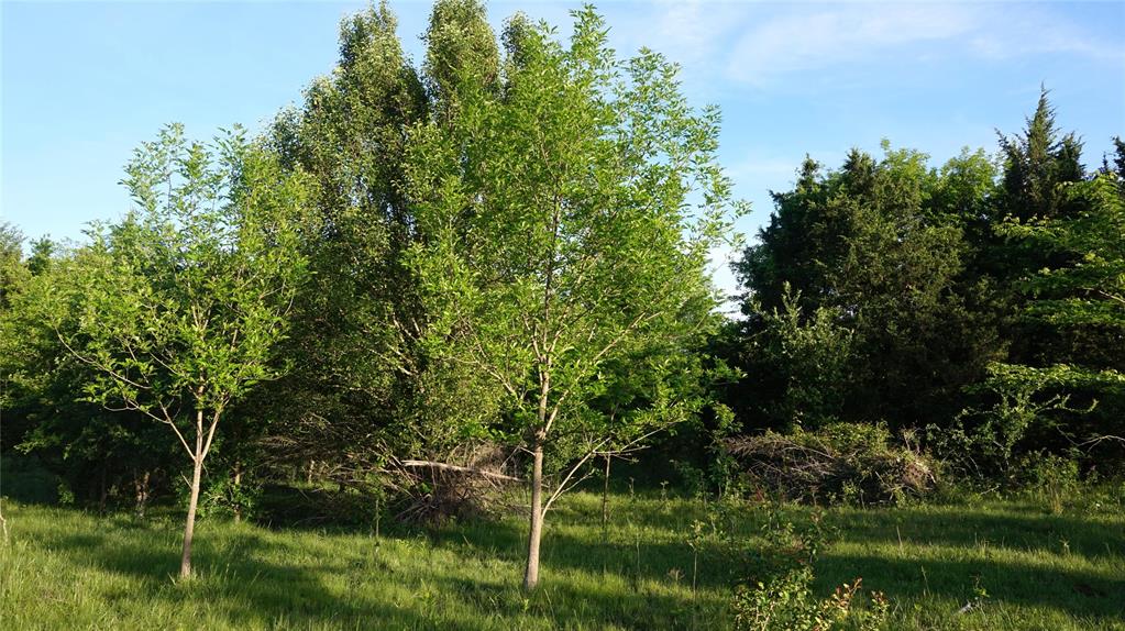 The Preserve at Buchanan Place Phase 1 - Land