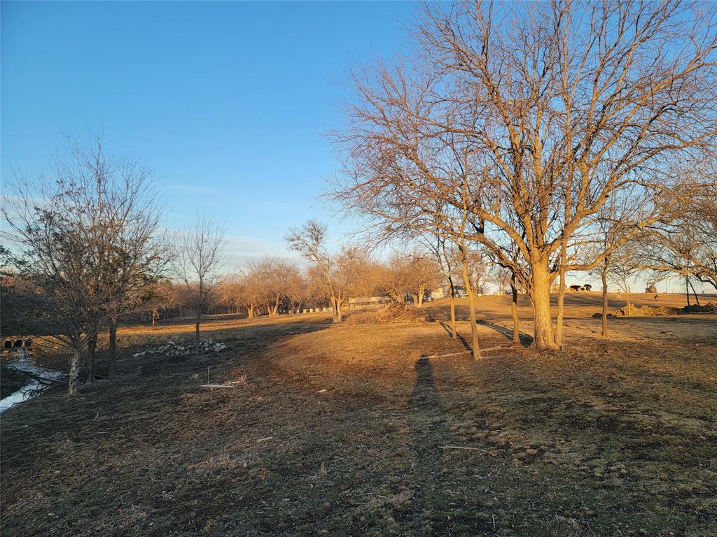 TJ Dilliard Surv ABS #221, 222 - Land
